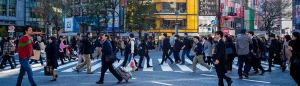 People crossing the road on the street